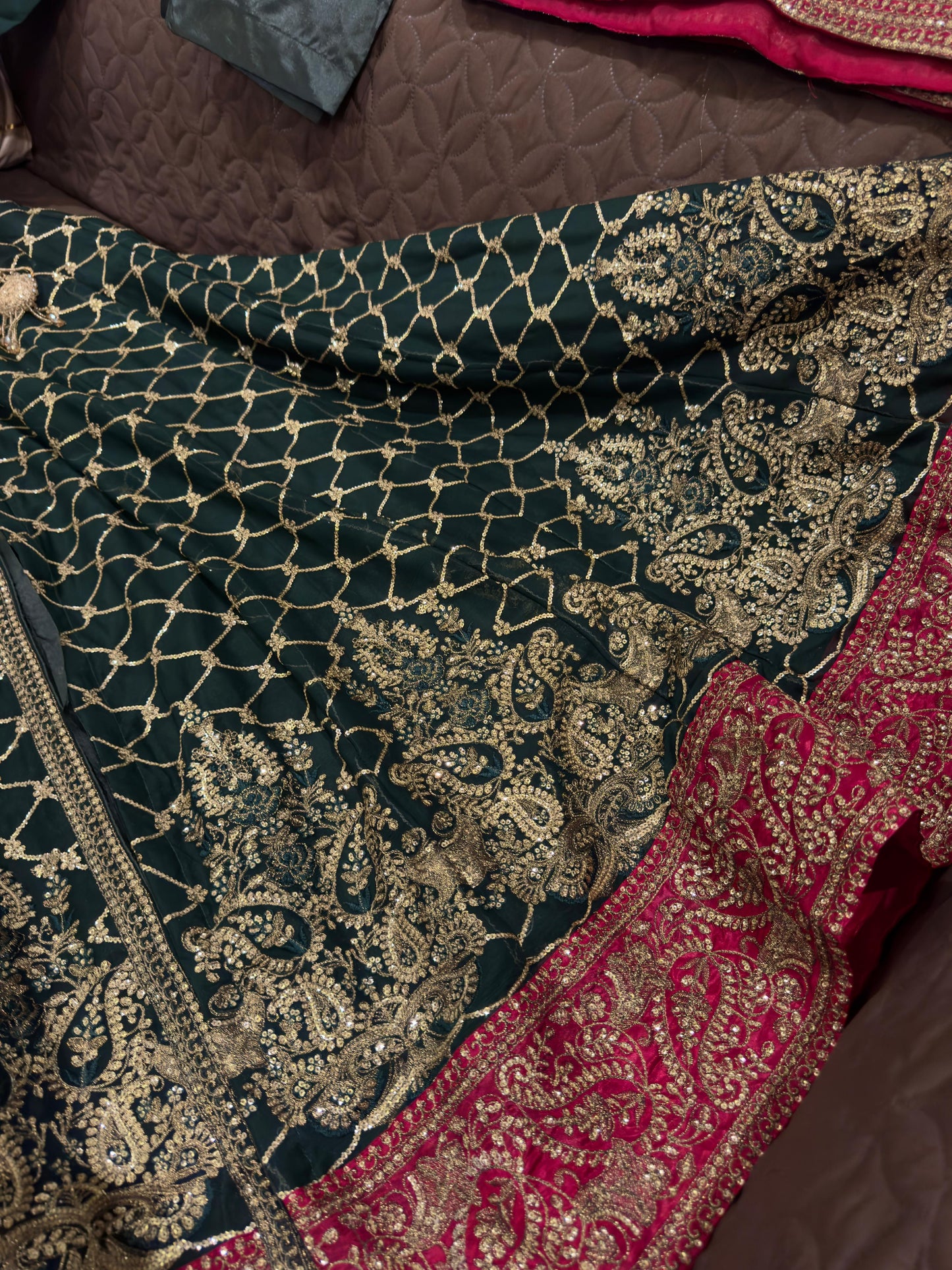 Gladiolus (GREEN and PINK)