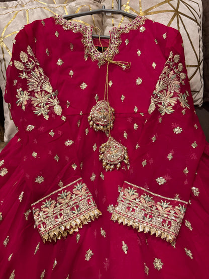 Cockscomb (HOT PINK)