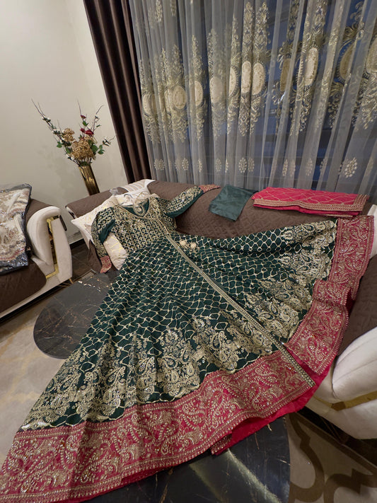 Gladiolus (GREEN and PINK)