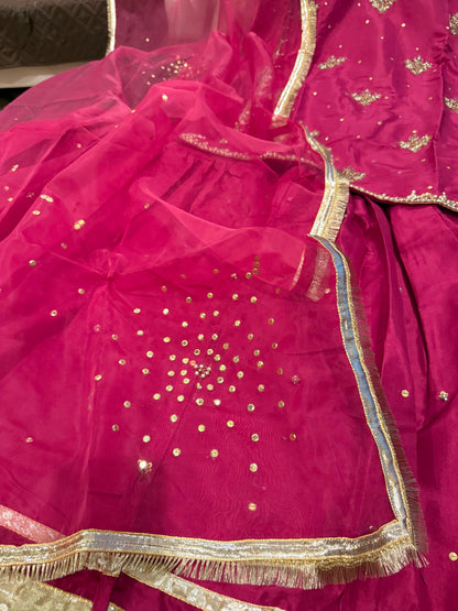 Daffodils (PINK)