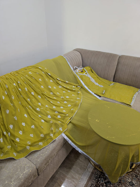 Hellebore (MUSTARD GREEN)